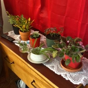 Meet your Posher, Margaret